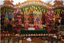 holi_nar_narayan_dev_jayanti_011.jpg